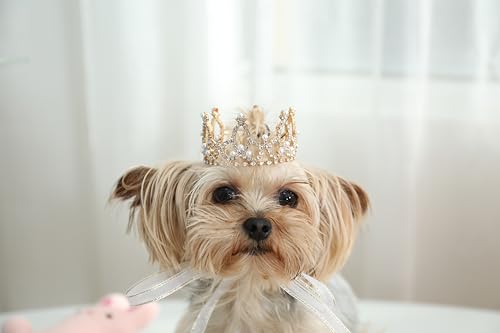 Lovelyshop Die phallenkollektion vergoldeten royal Saury-perlen mit volldressierten Hunden und Katzen Haarschmuck in X klein