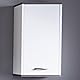 trendteam smart living - California - Hängeschrank - Weiß/Rauchsilber - Schrank für das Badezimmer hängend - (BxHxT) 32 x 60 x 21 cm - 2 Fächer, 1 Einlegeboden - Kratzfest
