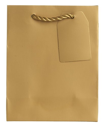Jillson Roberts 6-Count Small 6" x 7.5" x 3" All-Occasion Gift Bags Available in 15 Solid Colors, Gold Matte
