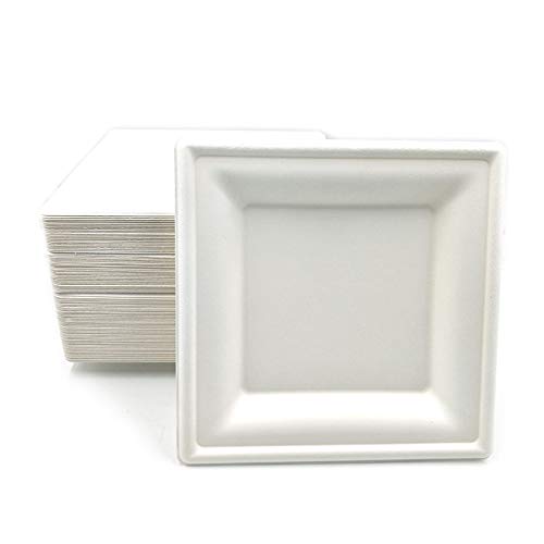 Disposable Eco-Friendly Biodegradable Bagasse Tableware Sugarcane Fiber Dinner Plates Compostable Disposable Square Plates Dessert Dinnerware for Party BBQ Wedding (100, 8inch square)