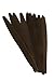 Oud Pick, Plastic, 10 Pack, Black