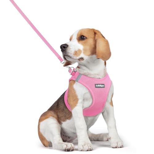 Image of rabbitgoo Dog Harness Medium Sized and Leash Set, Step-in Puppy Pet Vest