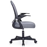 Ergonomic Office Chair with Lumbar Support, Breathable Mesh High Back Desk Chair - Adjustable Height, Flip-Up Armrests, 120ยฐ Reclining, BIFMA Certified,Computer Chair for Home & Office