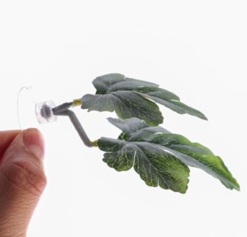 WOLKKAMق̐̑A̎YAt̃V~[VȂ (D)