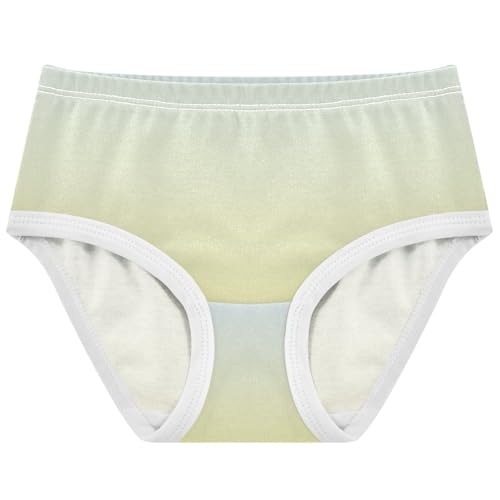 Joisal Colorful Girls Underwear Toddlers 2t Cotton Cute Panties Girl Elegant Blue Light Khaki Gradient Briefs Girls Undies