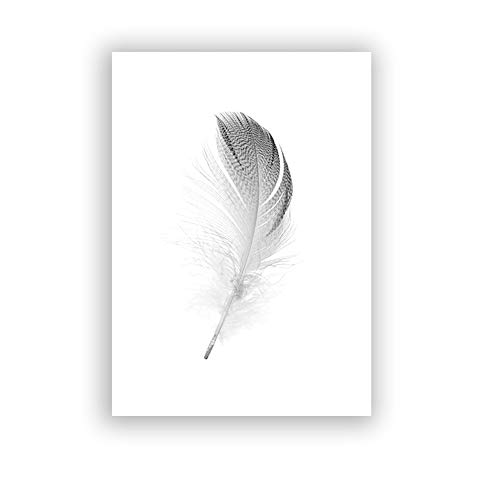 OYFFL Noir et Blanc Fleur Imprimer Frais Mur Art Plume Pissenlit Photos Toile Salon décoration peintures murales (Feather S,20 * 30cm sans Cadre) Cover