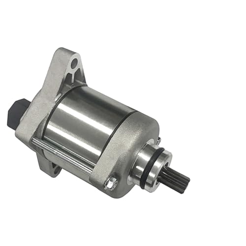 Démarreur électrique Beta RR 300 250 arbre long 2T enduro 2013-2023