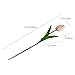 Mandy's Artificial Tulips 20 Stems Champagne PU Faux Flowers for Valentine's Day and New Year Decorations Wedding Home Decor 13.5 Inch