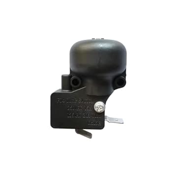 dump switch meaning on propane heater