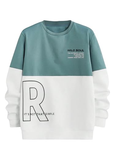 SweatyRocks Men's Letter Graphic Color Block Sweatshirt Long Sleeve Crew Neck Pullover Tops