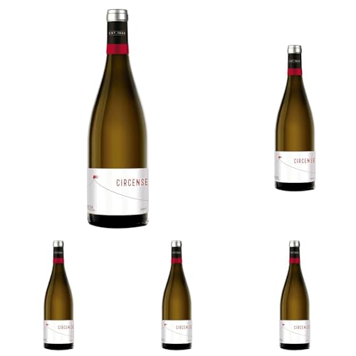 CUATRO RAYAS Circense Verdejo - Vino Blanco DO Rueda (Botella x 750ml) (Paquete de 5)
