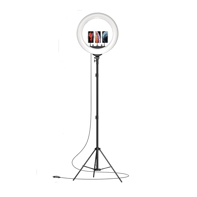(Refurbished) LED Ring Light (18-inch) with Remote, (B0BGPNQD2R) Stand, and Dual Colour Modes (B0DC47VGWJ) Amazon Price History, Amazon Price Tracker