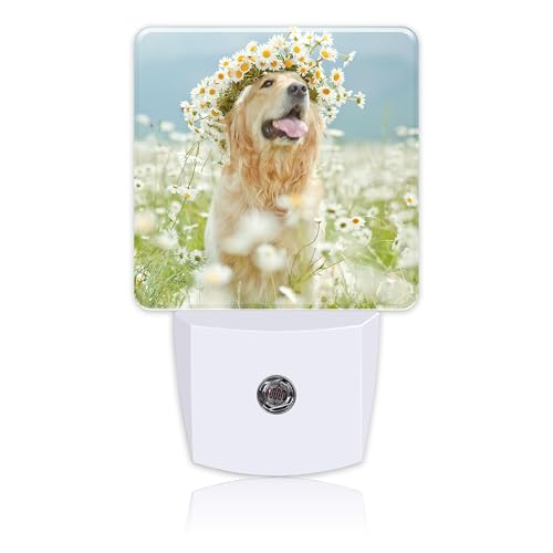 Image of Plug in Night Lights Golden Retriever with Daisy Wreath Night Light with Dusk to Dawn Sensor Night Light for Kid Girls Boys Women Men Room Decor, Hallway, Kitchen, Bathroom, Nursery, Stairs