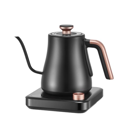 OLEGA Gooseneck Electric Kettle with Temperature Control