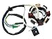 Go kart 150cc 8 post stator, TrailMaster, Hammerhead M150-1051200-8