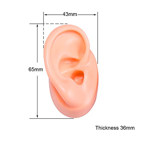 Soft Silicone Ear Model Artificial Imitation Real Ear Mold Flexible for Jewelry Earring Display Impression Taking Practice (Beige) - Thumbnail 3