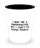 I May Be a Chiropractor, but I Can't Fix Stupid. Shot Glass, Chiropractor Present From Friends, Epic Ceramic Cup For Colleagues, Chiropractic, Spine, Massage, Therapy, Pain Relief