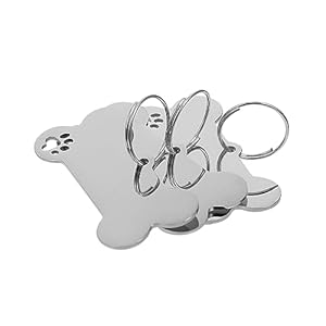 POPETPOP 1Satz Personalisiertes Hundehalsband mit Gravur