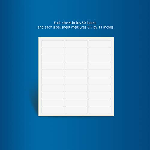 AmazonBasics Address Labels for Laser & Inkjet Printers, 1\" x 2-5/8\", 300-Pack