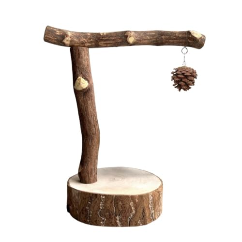 WOLKKAM o[hX^h |[ IE u` fXNgbv vbgtH[ O o[hX^h ^CK[XL ubN tFjbNX VNN NC~O C^NeBu XCO (T^X^h)