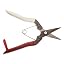 Fruit Picking Shears/Box