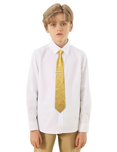 Image of Barry.Wang Boys Ties School Pre-Tied Kids Necktie Handkerchief Clip Set Uniforms Child Ties for 8-14 Years Wedding Party