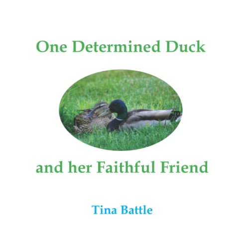 One Determined Duck and her Faithful Friend