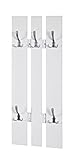 Haku Möbel 15306 Wandgarderobe, weiß/edelstahloptik, 9 x 45 x 100 cm