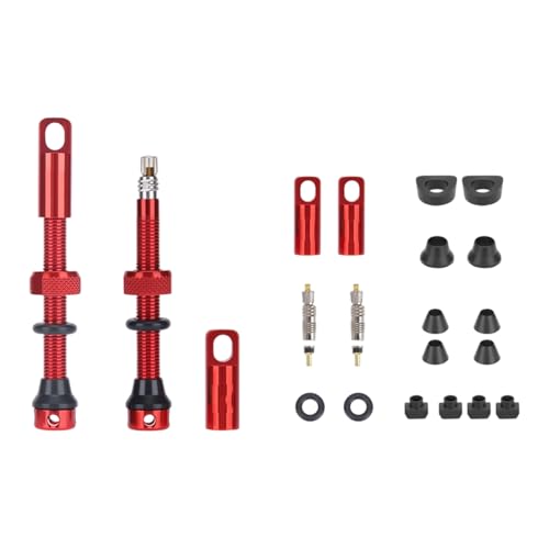 Compacts yʎO\ȃA_v^[RAjo[TNCbNA_v^[[hoCN^CeiX Compacts TCNOou