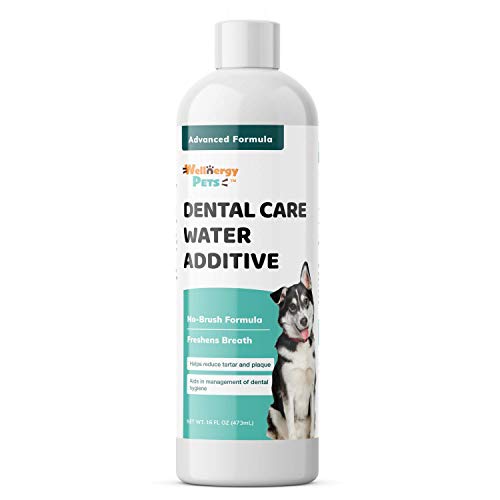 Wellnergy Pets Fresh Dental Water Additive for Cats and Dogs - Fresh Breath - Improves Dental Health and Oral Hygiene with no Toothpaste or Brushing. 16oz.