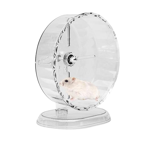 Grande roue d'exercice silencieuse évitant les blessures du bernard l'ermite