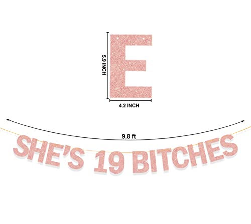 Image of She's 19 Bitches Banner 19th Birthday Decorations for Women, Funny Glitter Rose Gold Birthday Banner 19 Birthday Party Supplies