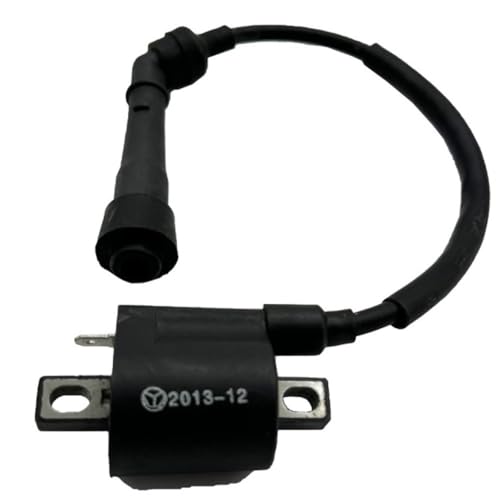 Bobina de encendido para T 400 JS400 que elimina fallos de arranque en Quad 400CC