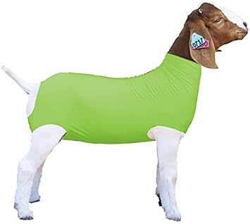 Show Pro Neon Green Spandex Goat Tube for Show Goats - Show Livestock Supplies Goat Covers & Blankets Medium