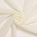 Solid Chiffon Fabric Polyester Dress Sheer 58'' Wide By the Yard All Colors (1 YARD, Off White)