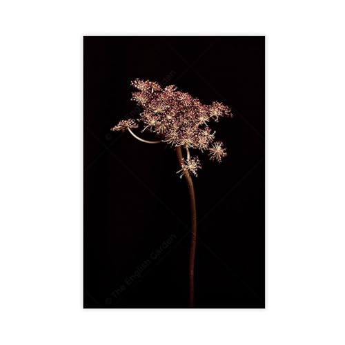 Poster géant rétro floral en toile 61x91 cm pour salon et chambre