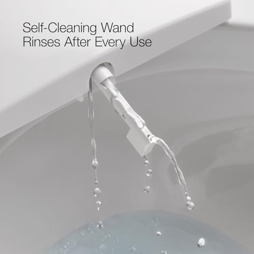 Warm air drying and auto deodorization features of the bidet seat