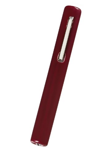 Prestige Medical Standard Disposable Penlight, Burgundy, 0.8 Ounce