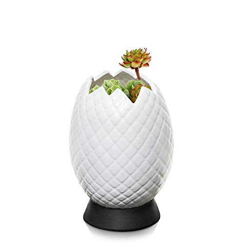 Succulent Pots Planter Flower Pot - Dragon Egg Style Plant Pot with...