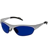 PRiSMA SpektroChrom Farbbrille INDIGO (I) Klarheit & Intuition, Brille mit Farbfilter zur Farbthe...