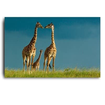 Diamond painting strass image girafe en broderie haute définition