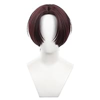 Amazon.co.jp: 楡井秋彦 コスプレウィッグ WIND BREAKER ウィンド