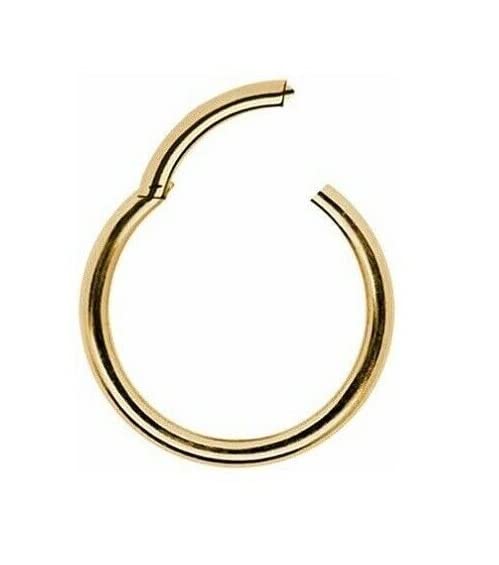 Ringe PIERCING Nasenring I Echt 585 Gelbgold I Durchmesser 6 mm I Intim Tragus Helix Septum modern modisch extravagant I 46011-6