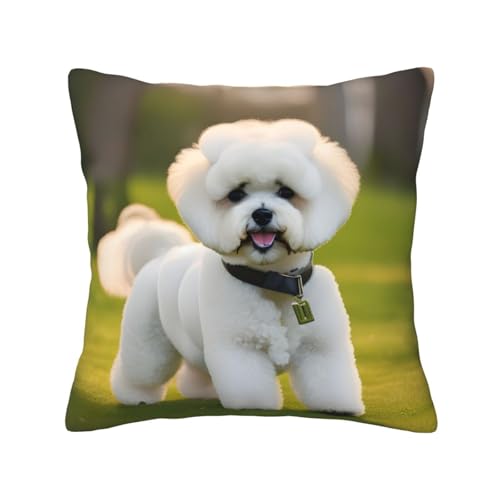 KLJnmbb Bichon Frise - Funda de cojín cuadrada con estampado de perro sobre la hierba para sofá, oficina, vacaciones, hogar, decoración para todas las estaciones