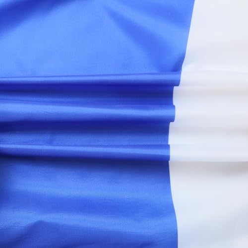 Drapeau Schleswig-Holstein 150x90 grand format polyester avec oeillets - 4