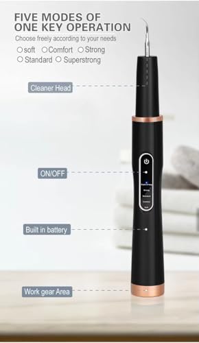 Image of Dog Teeth Cleaning Kit, Rechargeable Pet Oral Care Tool for Dogs & Cats, 5 Cleaning Modes, USB-C Rechargeable, IPX6 Waterproof, Portable Dental Care Kit for Daily Teeth Cleaning