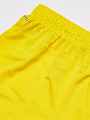 PUMA Men's Liga Shorts Jr