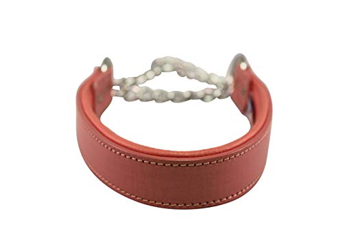 Angel Rio, Genuine Leather, Pink Martingale Padded Dog Collar, 22" X 1" (28.5" Fully Extended), 100% Argentinean Cowhide & Stainless Steel. Humane & Trainer Recommended Alternative To Prong & Choke Collars. See Martingale Size Chart For A Perfect Fit #TOP3