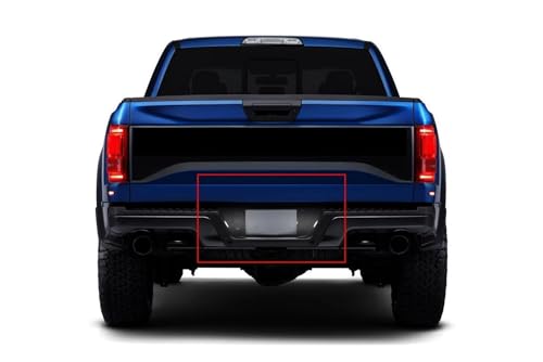 Luz placa matrícula LED blanca de alta intensidad para renovar Ford F150 Raptor 2015-2025 pack de 2 5