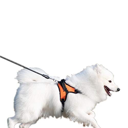 最安値 反射材犬用ハーネス 引っ張り防止 調節可能 ソフト安全な胴輪 リード付け 小型 中型と大型犬に適用 咳き込み軽減 抜けない 散歩用 通気性高い犬ベスト M オレンジ の価格比較